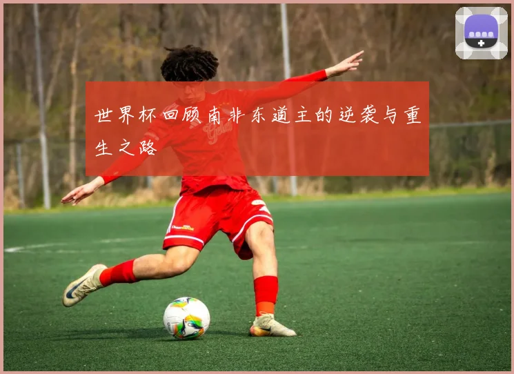 世界杯回顾南非东道主的逆袭与重生之路